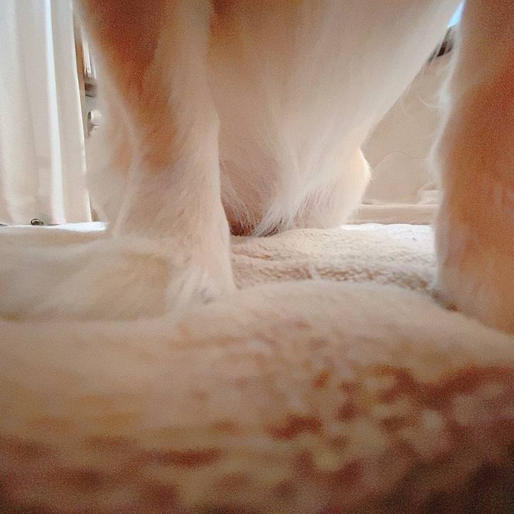 81ffa2a9 a22c 48f1 8fe8 c17fc00ed8c0 1618988178881