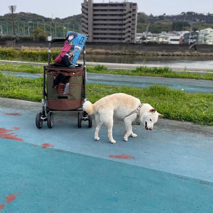 81ffb4f3 b339 49dd 919f fabebf966a50 1648210978996