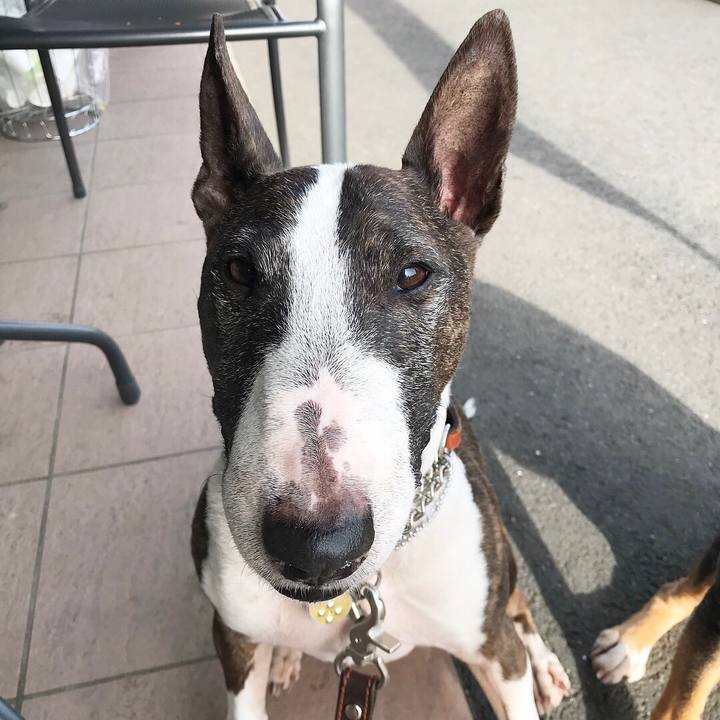 81ffdc4b a402 43b2 ab60 d84f01bcbee9 1525597843986