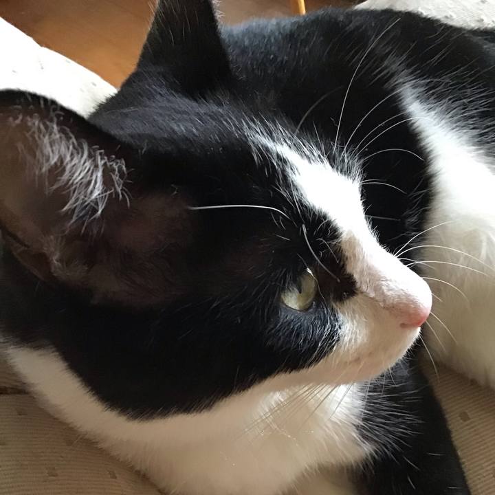 82000601 769c 44a2 a04b 87044fd836f8 1756105269219