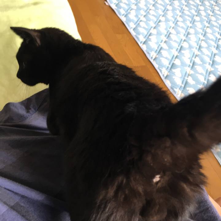 82002304 5a1b 4227 9f89 200546c73743 1533354722868