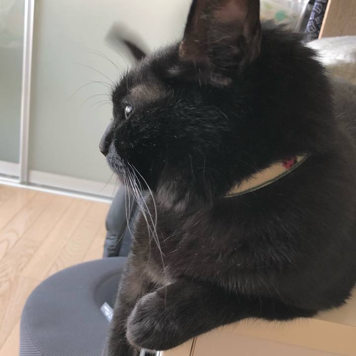 82006c9b b01d 46d3 af20 f0b40d253be5 1623482338394