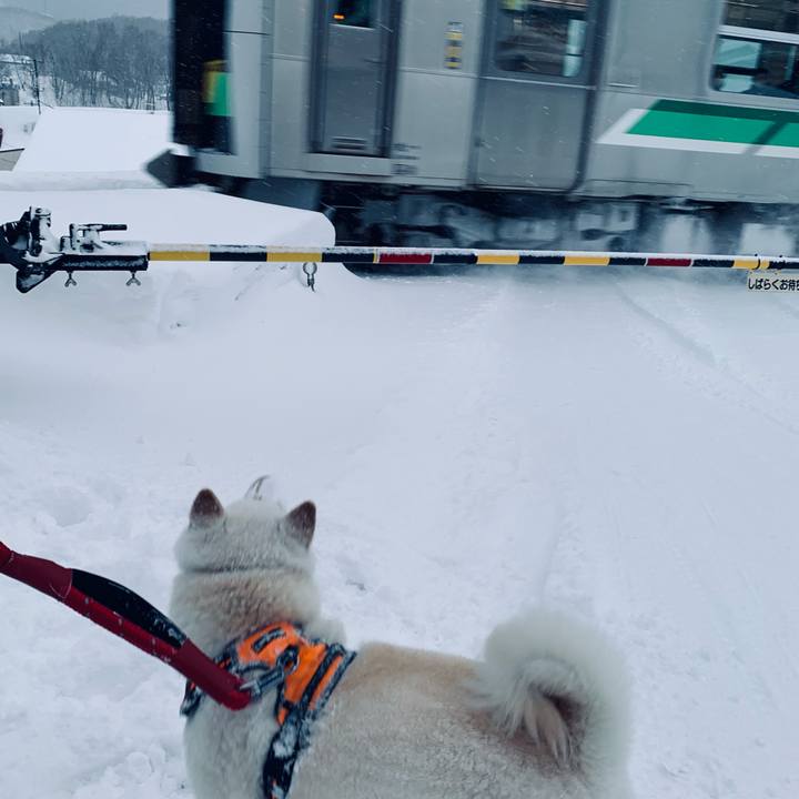 82009038 3439 40f4 8a19 e820bb98d35e 1675378297817