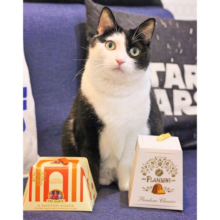 82010d58 550f 4907 b4f7 6f43ca639b86 1577500693267