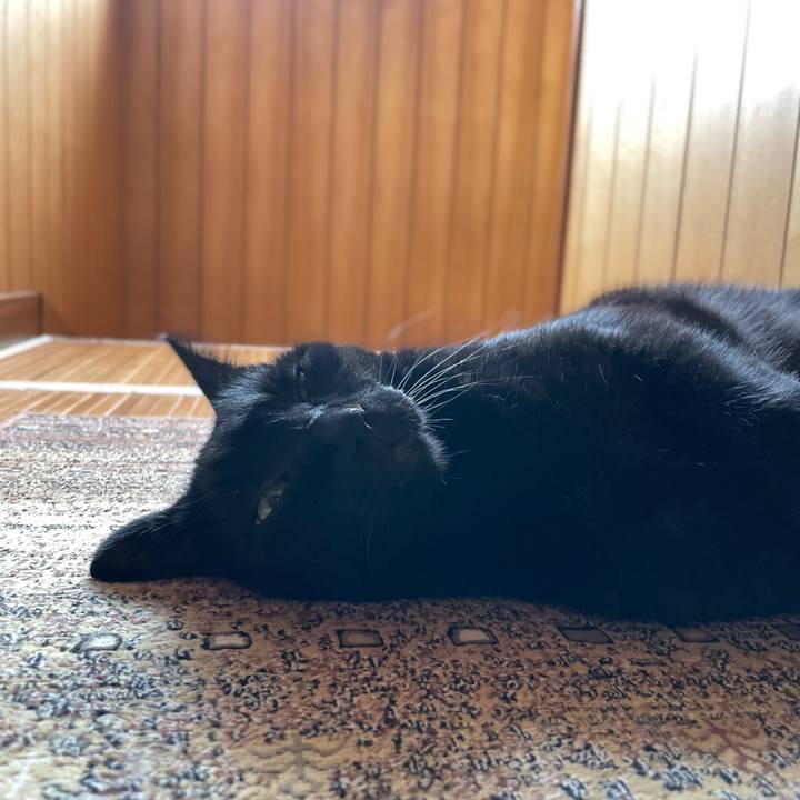 8201253b d1c4 4073 be8b 8c77306a4188 1663379818219