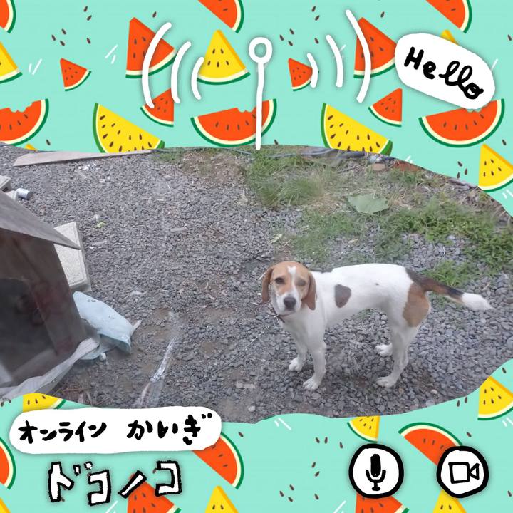 8201450a 57af 4c01 84b6 753ee7ef581e 1593083379757