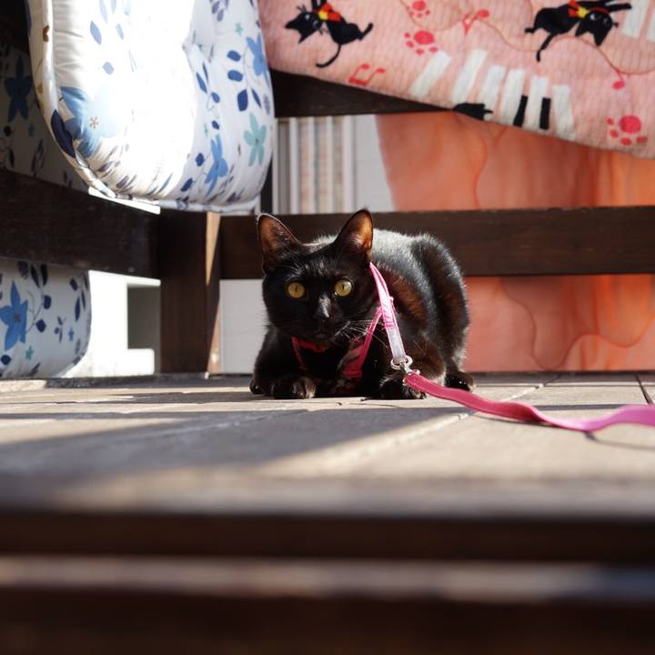 820168a9 8976 43f4 943e 1d65a982c038 1548026671309