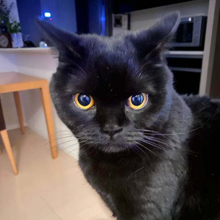 8201da42 3da8 46fc acbc 94a2e4290eaf 1707477754280