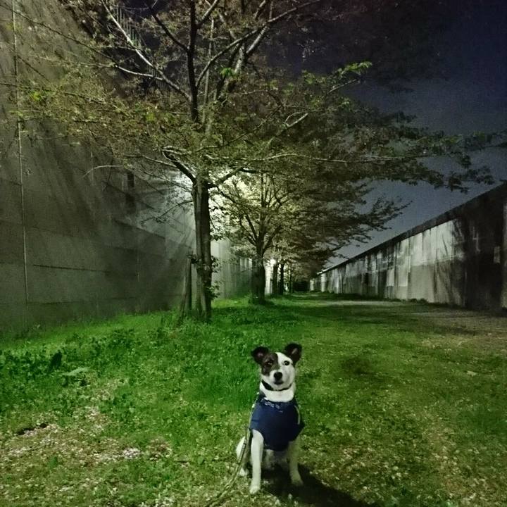 8201ee8d ea6f 4036 b320 5f76a484be58 1522839341612