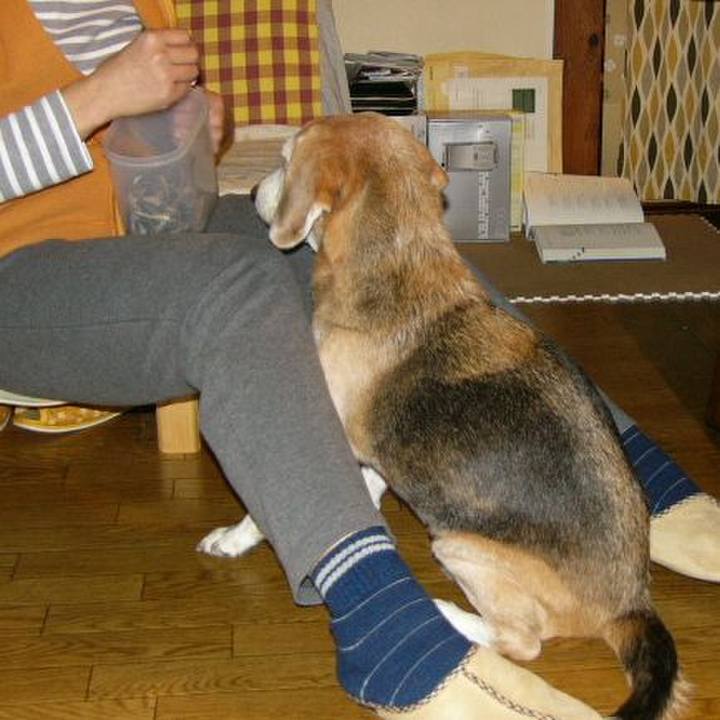 8201fc36 2579 40d3 8e51 9bc3d2f3201b 1669685513264