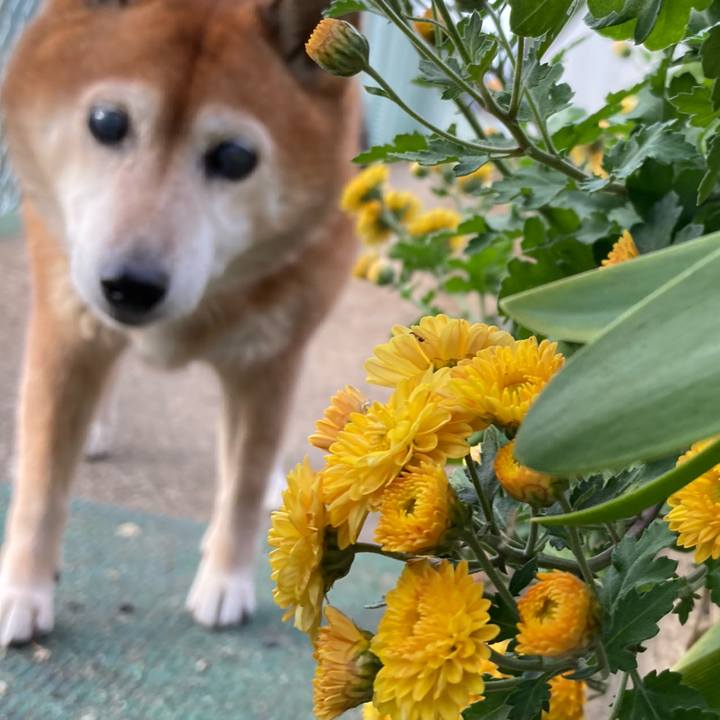 820208c2 41a9 4bab bccd 9de965b4fabb 1699573567869