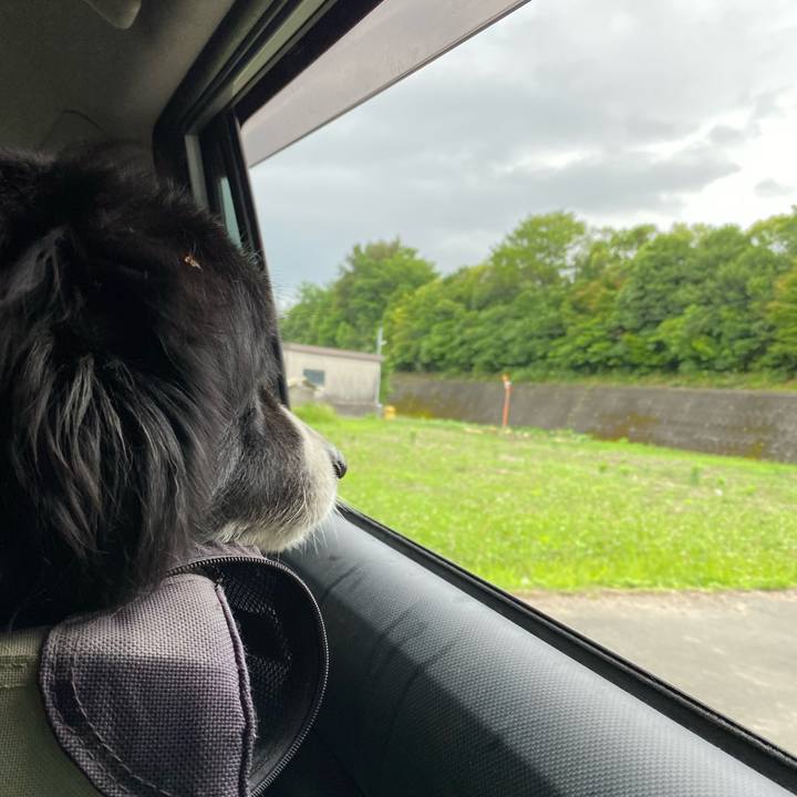 820233d7 a384 49c2 8abe 00604764a103 1655330634175