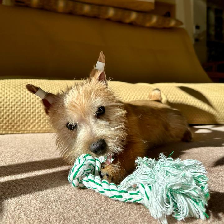 820252b6 0b0f 4f22 a204 776bde213bdd 1705304709343