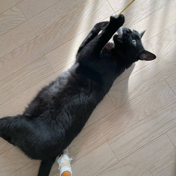 82025a4c 9435 430b b4dd 1dd283bcf8e2 1655643887828