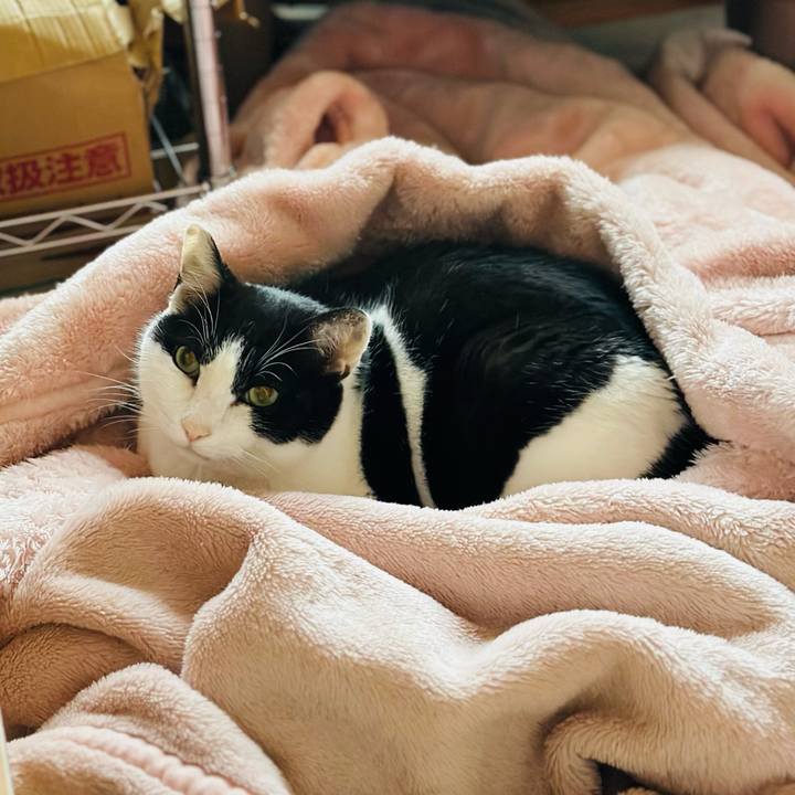 820275f7 53f2 4811 95cb 593e6dcf15f8 1675820717062