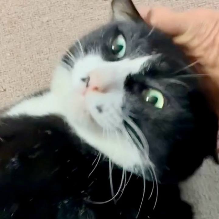 82027c45 7345 4fba b7ba 8badb35ba7c1 1767959434924