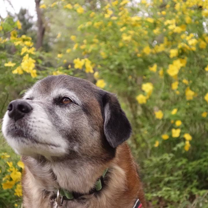 8202d4d8 d481 4cce baf8 c56271856f89 1665448525372