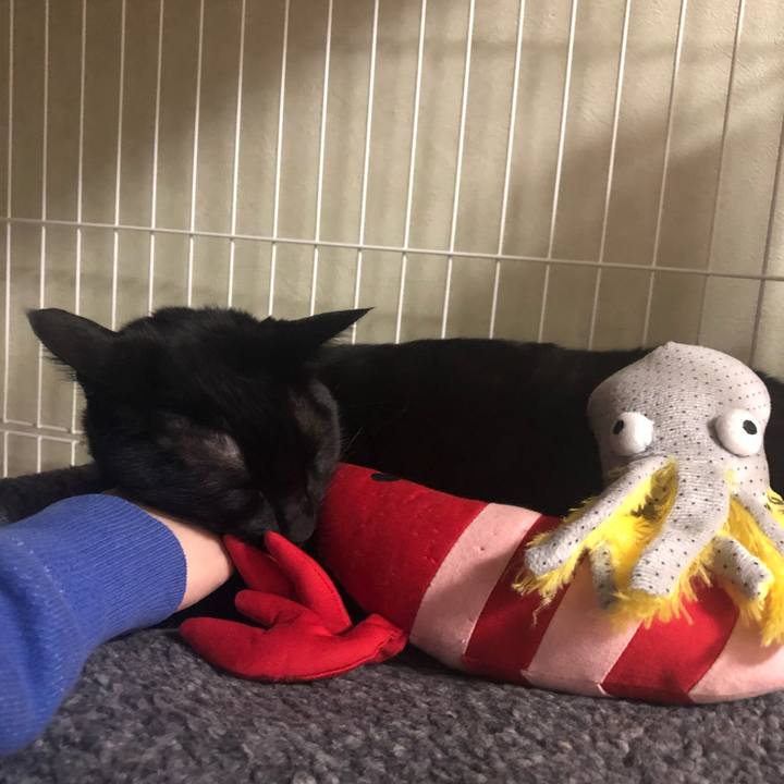 8202f4b2 b128 48d0 84d4 0beabbc94544 1548468456122