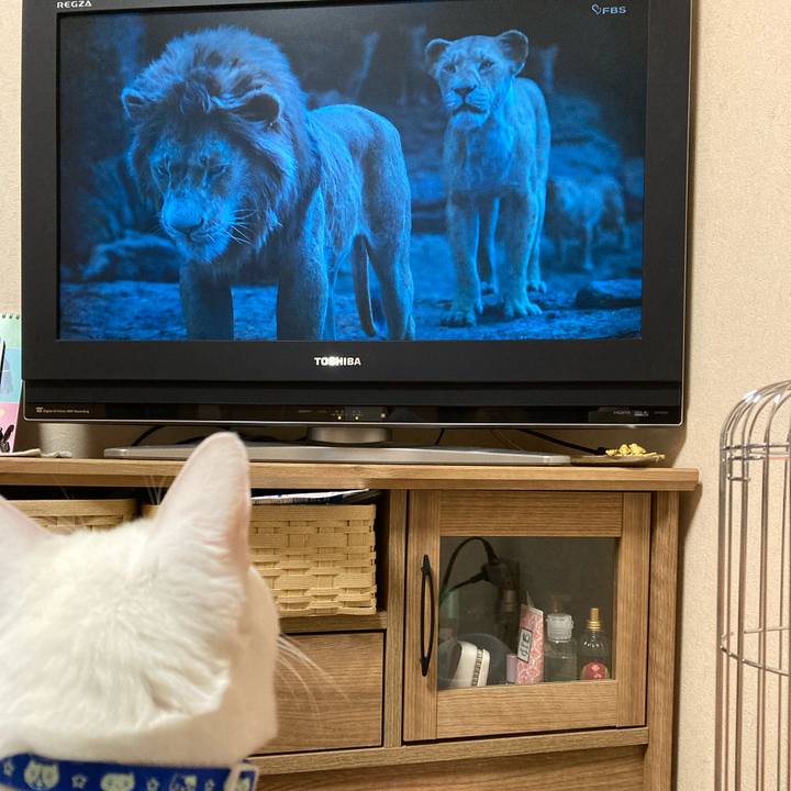 8202f887 596c 465a 96f3 421aee481143 1672412181143