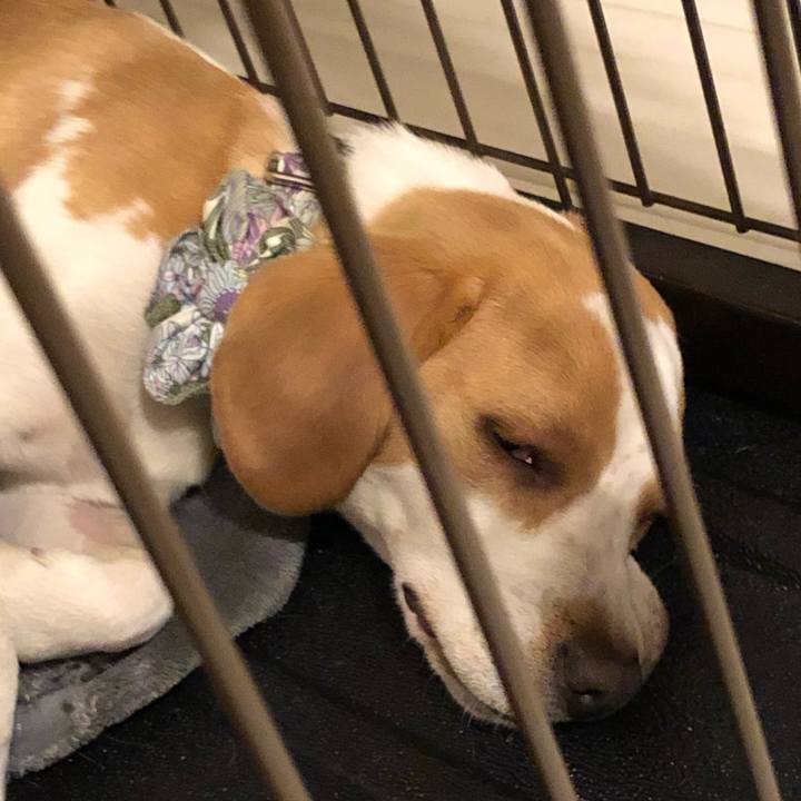 82030fc3 0f41 4fec ba71 8811132e58bf 1557743527506