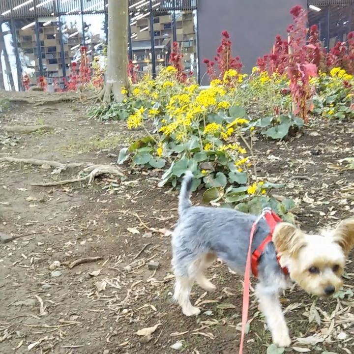 8203373b fa6f 4cf6 b5a7 ff1d5fb1b24c 1636011308178