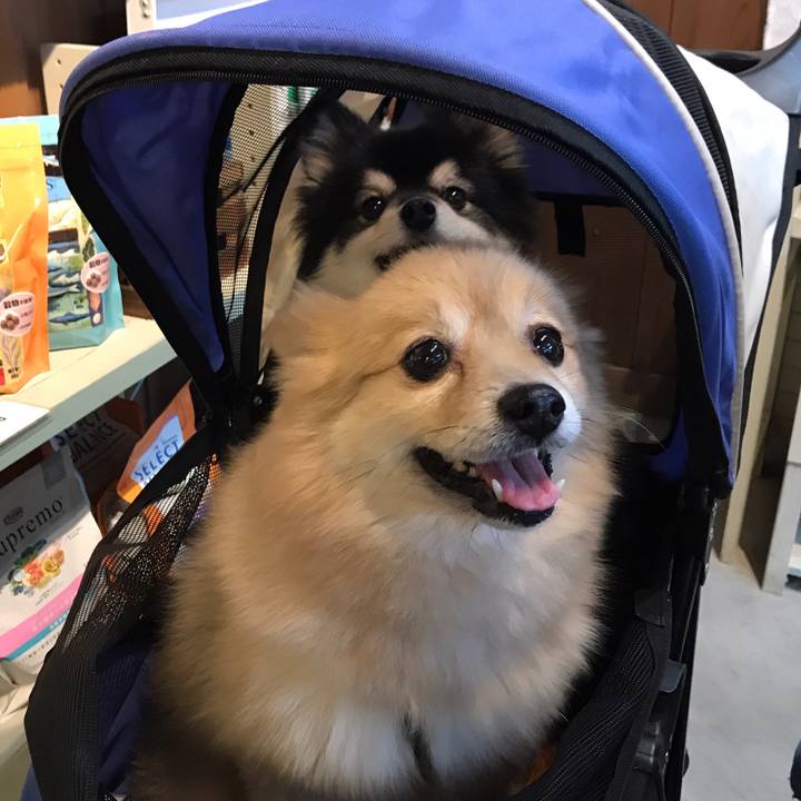 820358e8 83ee 4e60 98ec 08ea9b4e3f3c 1585402616605