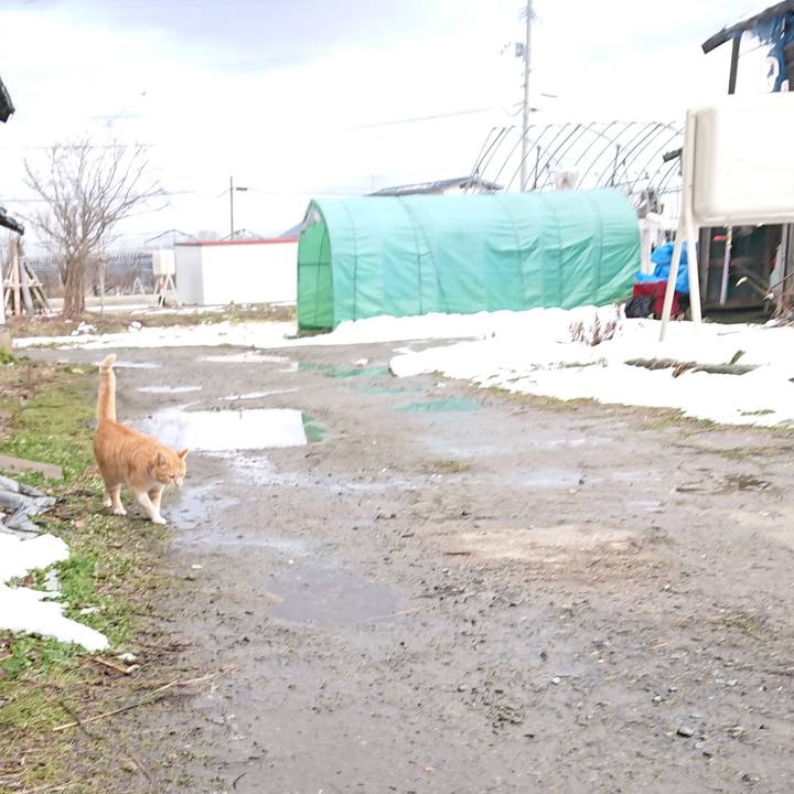 82037bcc de24 482a a206 8b7e117cdcba 1578030412656