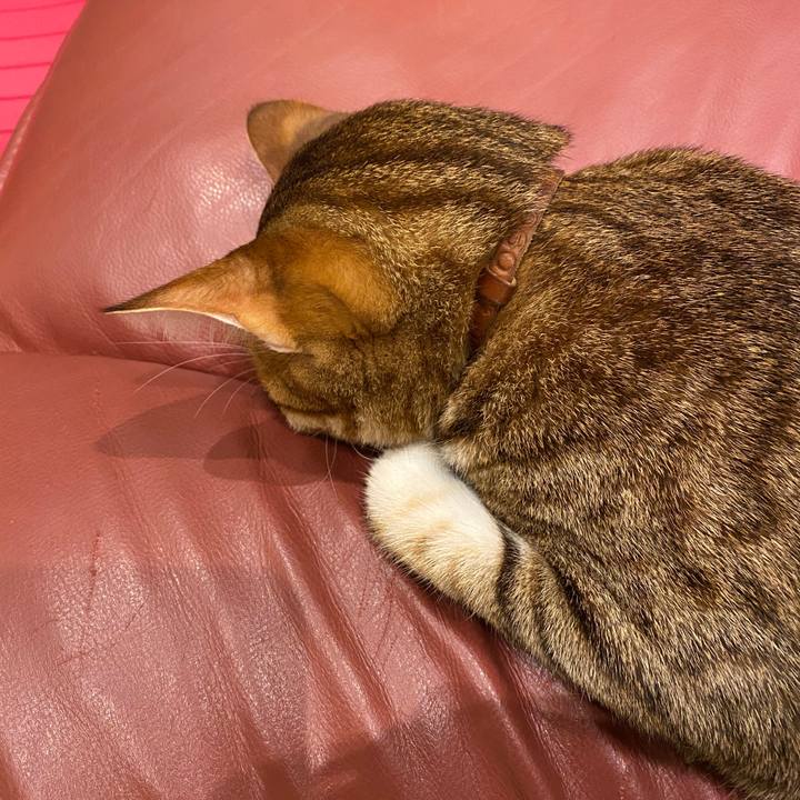 8203a7d9 fb14 4faf 96e4 9feb110aa0f3 1602760963349