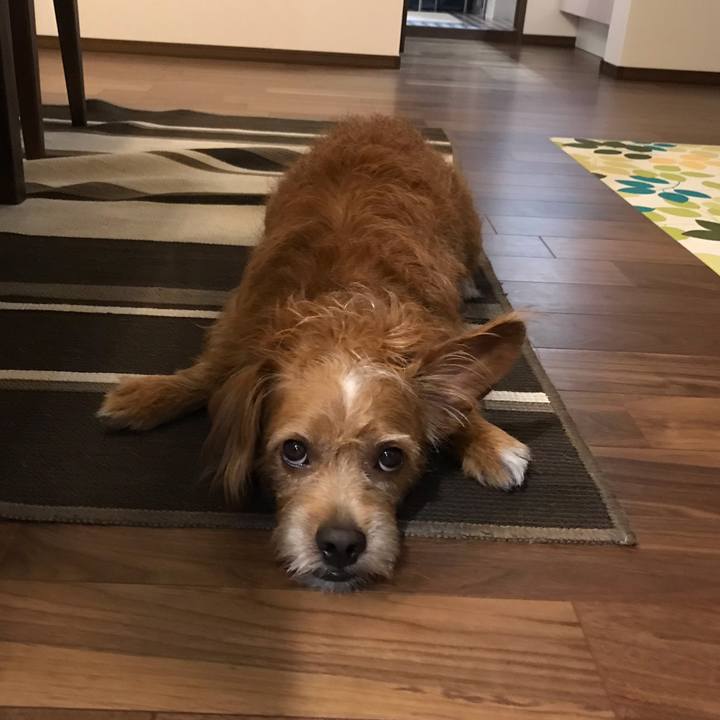 8203d032 5996 4227 86ac e2303a368cac 1600940330134