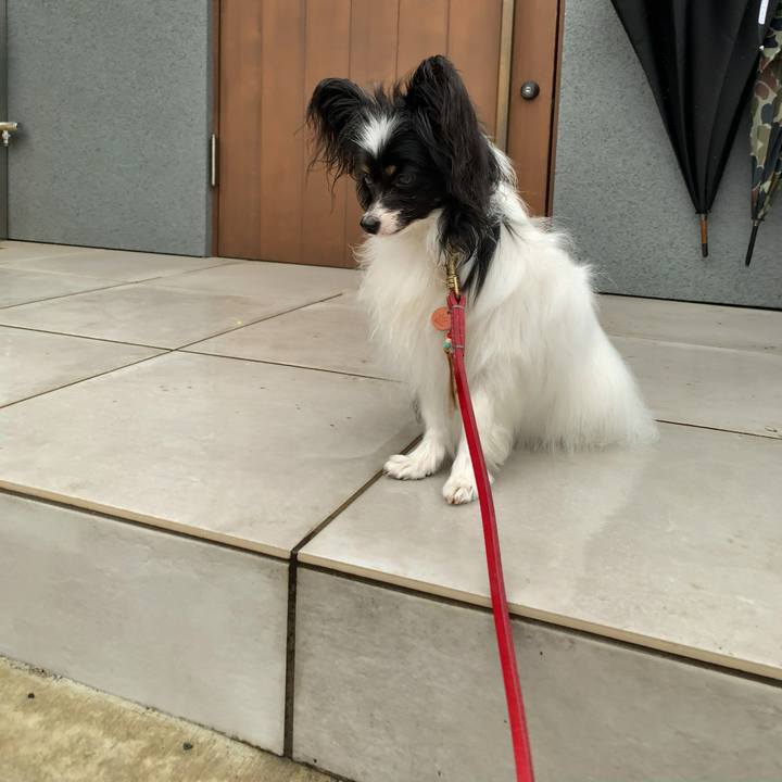 82044687 8ab6 4a0c a483 674863b8698a 1559907295476