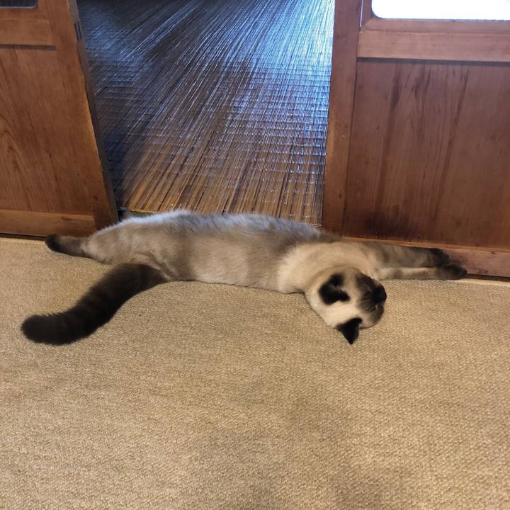 820454dd 059a 4603 b766 6b7eb127a6e7 1598241109164