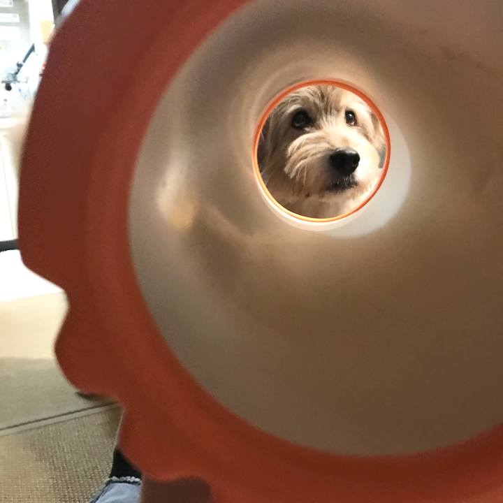 82045b77 cfcc 437e 8a80 8ea07971b1c7 1634687773983