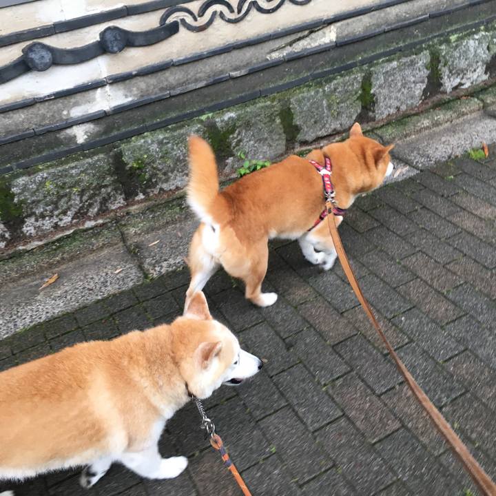 82047767 ed91 4c1f 9aad 70647d6a9153 1527808839027