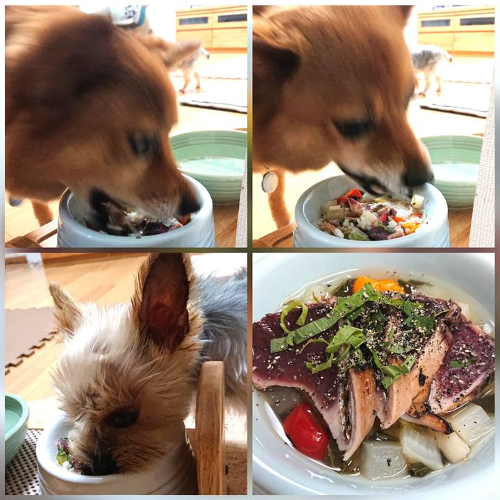 8204904c 9431 4692 90c2 989a27c42424 1619866865414