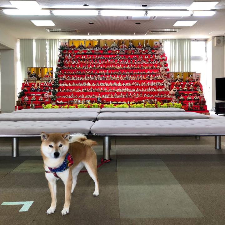 820499ed 1101 4bd0 bbf4 366f4cfa1031 1520056299775