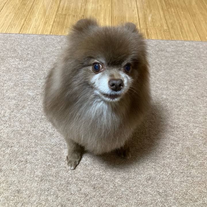 82049d41 8882 4ef1 a37b 477887f74e78 1673686236962