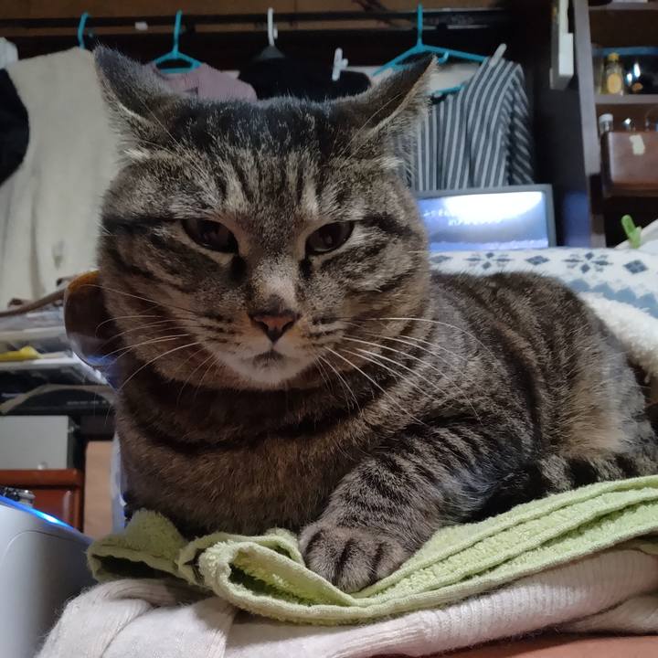 8204a865 3dc1 46b3 acd1 b5ba99701fcf 1679227278198