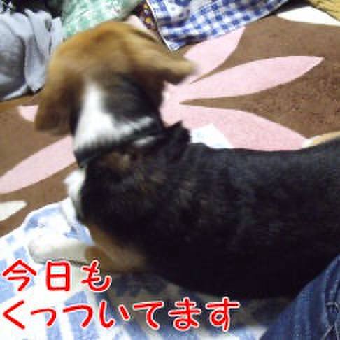 8204cde8 ba7b 42f6 b13b 93e8e5ae29c4 1717538908518