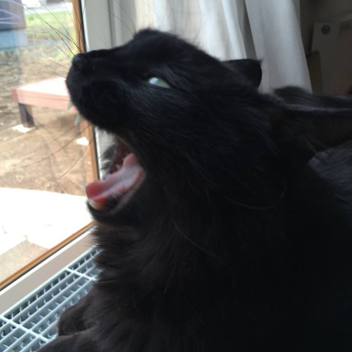 8204d6bd d7f0 45b3 821a 03afd68c5806 1524801483833