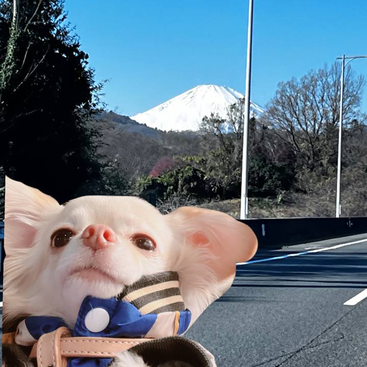 8204dbc4 c4e7 4f9c 93ac 3c80aafb05be 1672400736670