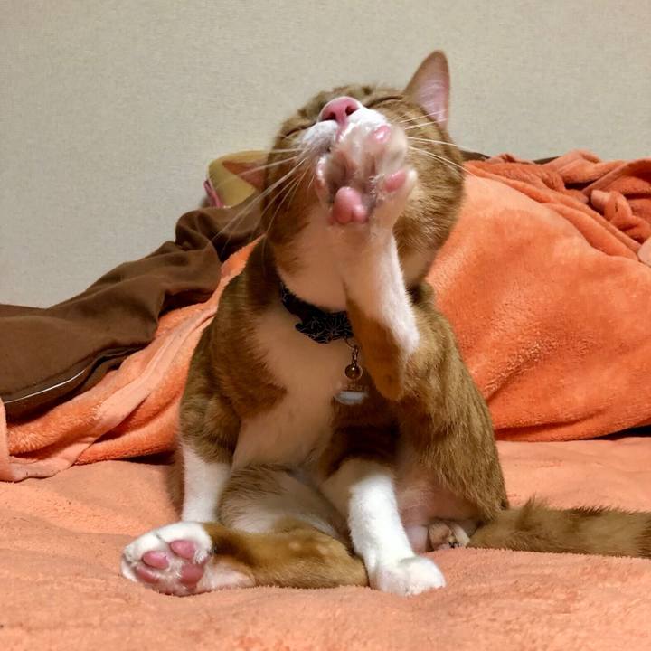 82053839 2e60 4b41 9a67 1e598ddfae66 1556891659057