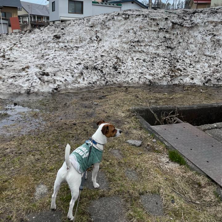 820543d8 4031 49cc bac4 cdc722a8e4af 1649673129482