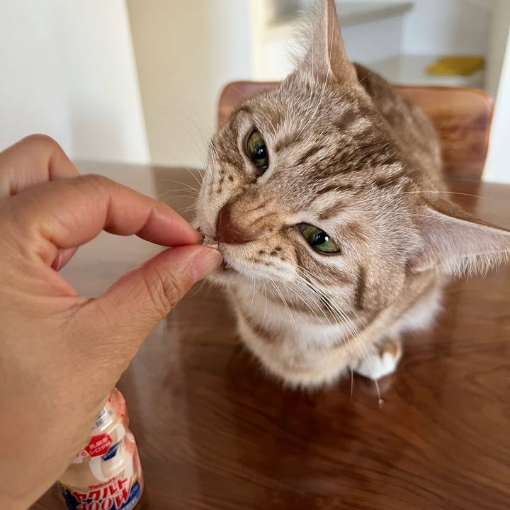 820550a6 57a7 4e51 b78f a347052fbe4e 1667687496504