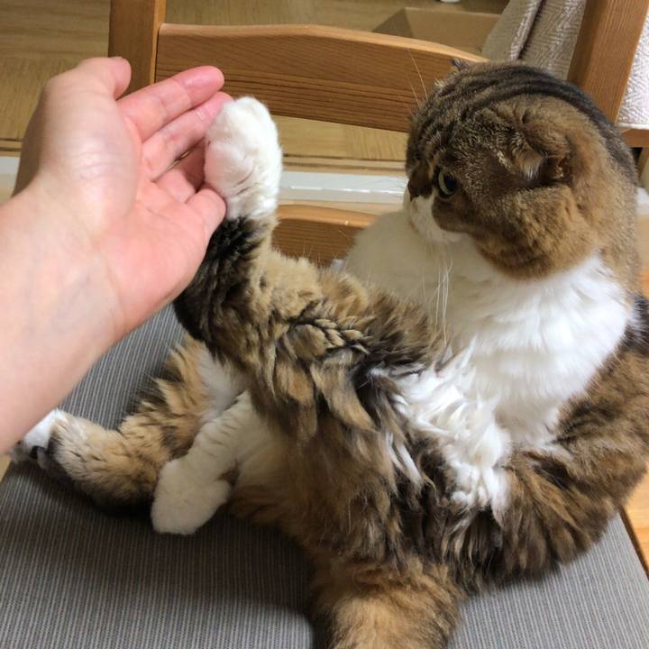 82059b32 3017 48e6 84c3 ac39bf65a1e4 1537225272756