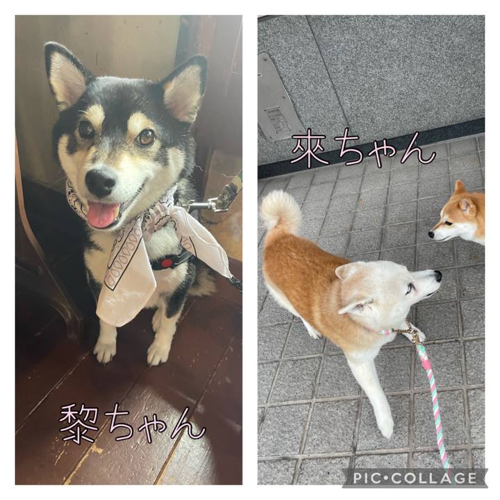 820603af f781 4409 b357 ddfea4c8e545 1695303407236