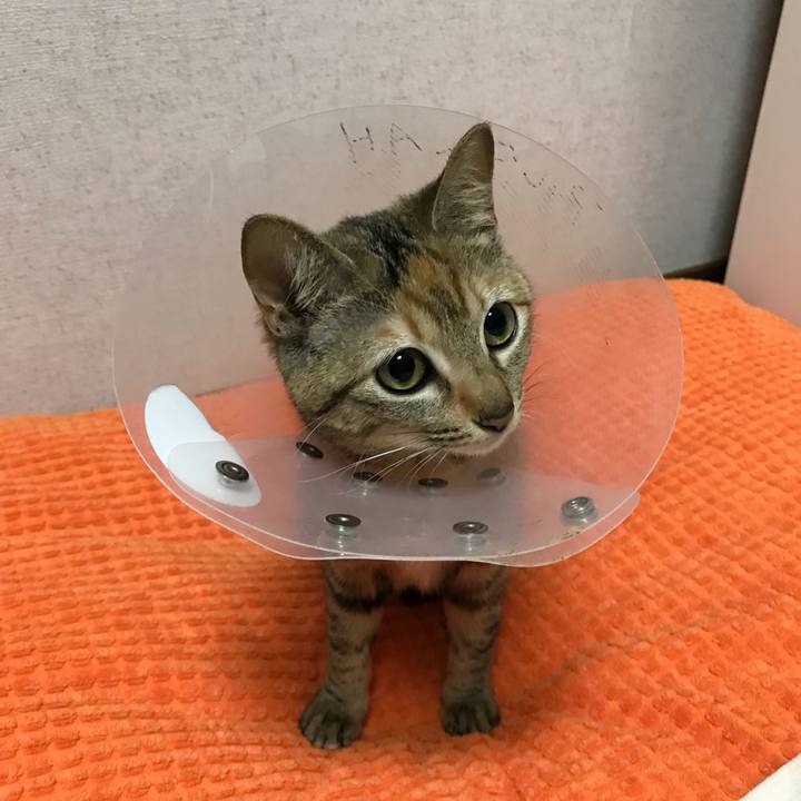 82063075 40fb 40c6 8ae2 17ee4f7846b7 1548898379684