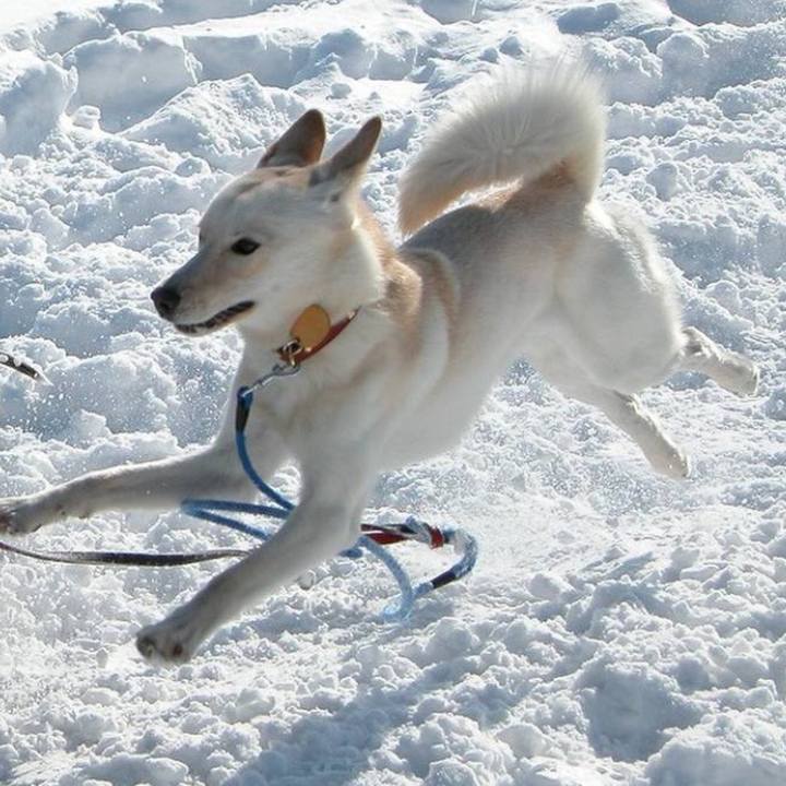 82066dd6 f789 4f38 a451 5e324a8d2e23 1517149621016