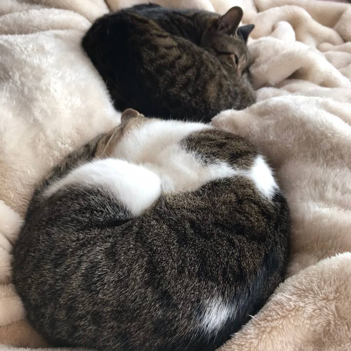 82069bc0 319a 499d be9b b48085d51497 1521335784786