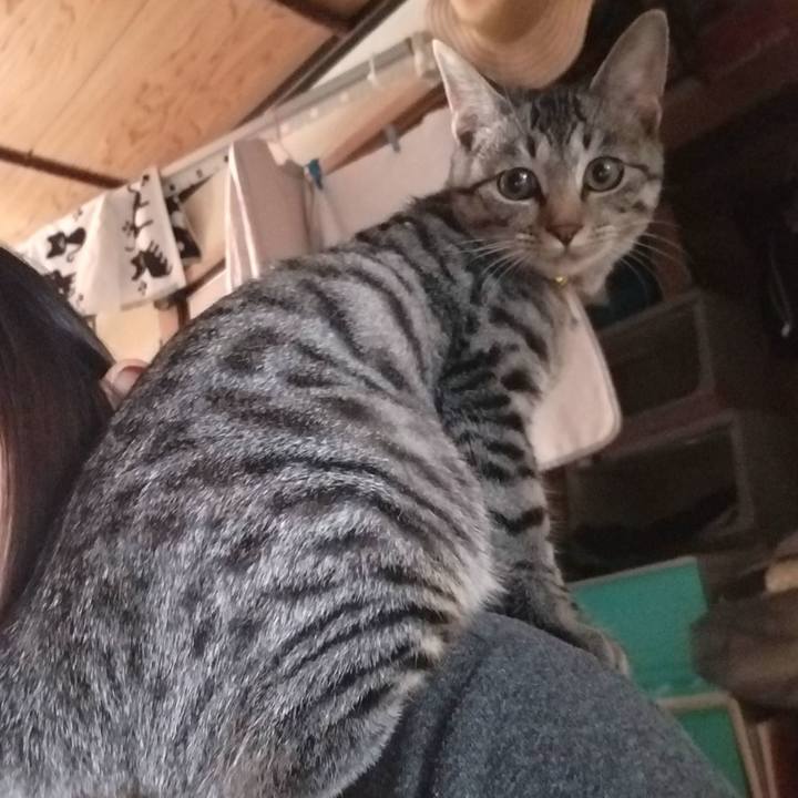 8206d20f fb14 4f65 94df f672a397131f 1670984324375