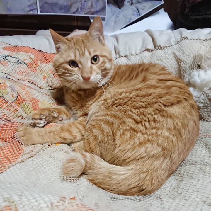 8206d717 60e2 42de 91ac 062ba2f3d572 1646254120418